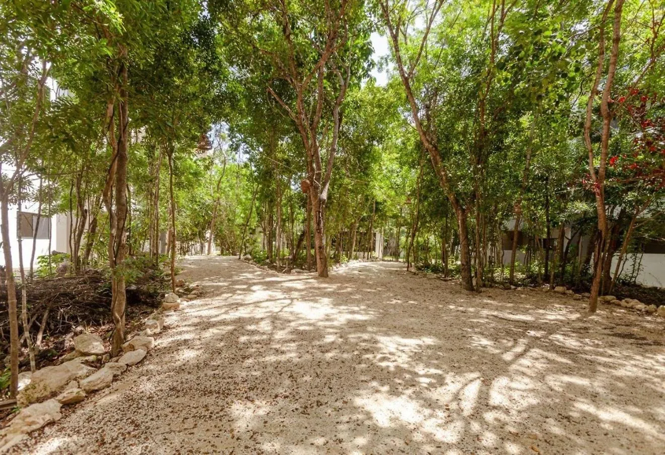 New! Condo Coto8 10Min To Beachwifi 200Mbgym Playa del Carmen